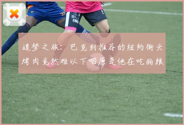 追梦之旅：巴克利推荐的纽约街头烤肉竟然难以下咽原是他在吃狗粮